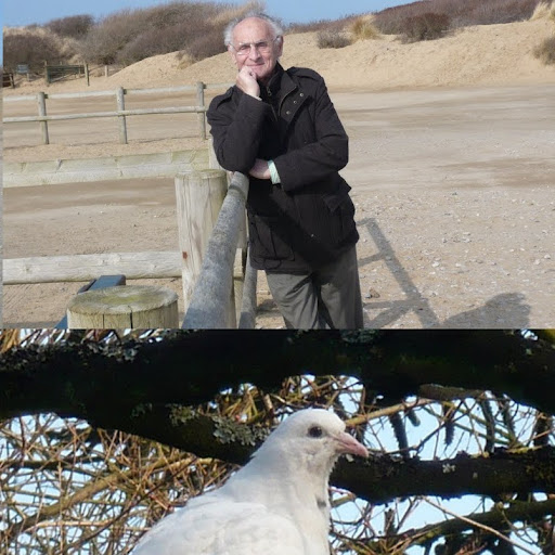 Terry Murphy Photo 19