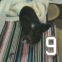 Kelly Szymanski Photo 8