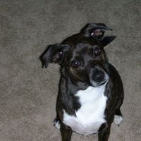 Shirley Mcintosh Photo 20