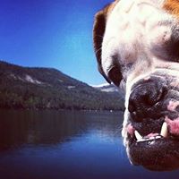 Colleen Hayes Photo 25