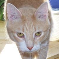 William Hand Photo 12