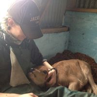 Andrew Creamer Photo 30