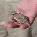 John Harned Photo 8