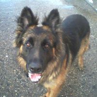 Marie Devlin Photo 22