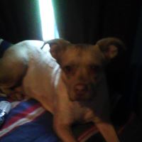 Melvin Stephens Photo 12