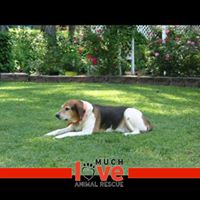 Debra Butler Photo 19