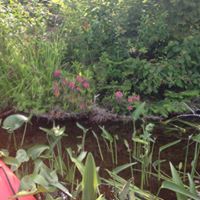 Janet Downey Photo 31