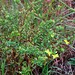 Annmarie Cross Photo 15