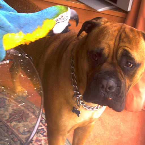 Geraldine Walsh Photo 39