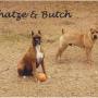 Susan Rouse Photo 35