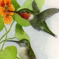 Valerie Shepard Photo 15