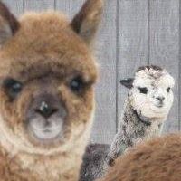 Michelle Armour Photo 25