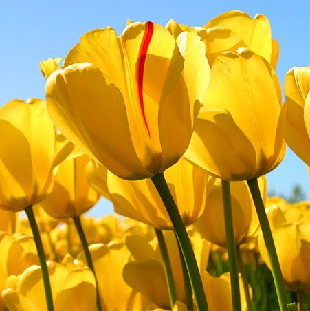 Juanita Montalvo Photo 1