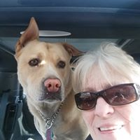 Marlene Patterson Photo 13