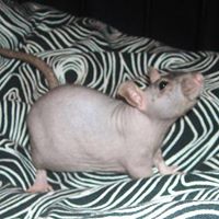 Dorothy Mcgowan Photo 15