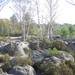 Belinda Woods Photo 16