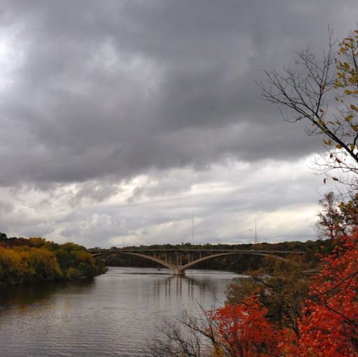 Allison Cole Photo 38