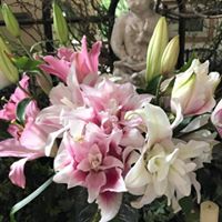 Norma Lewis Photo 12