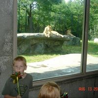 Tami Kramer Photo 12