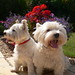 Milly West Photo 12