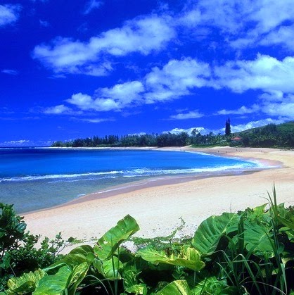 Kathy Slater Photo 8