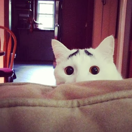 Christie Rich Photo 3