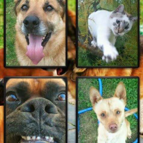 Patricia Mayo Photo 39