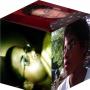 Frankie Correa Photo 4