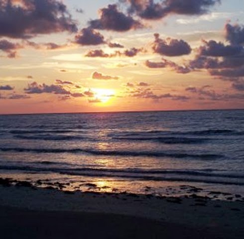 Debbie Potter Photo 37