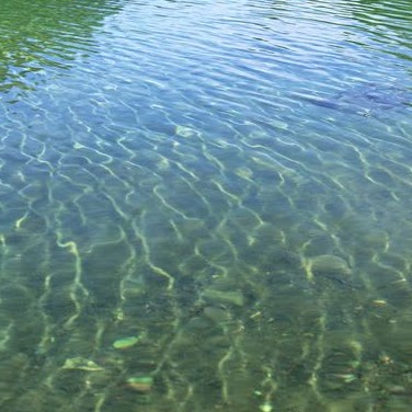 Jill Hickman Photo 8