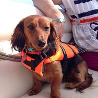 Julie Loftus Photo 17