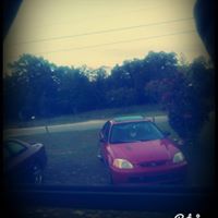 Michele Hodges Photo 32