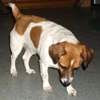 Catherine Haskell Photo 11