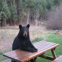 Phil Thacker Photo 19