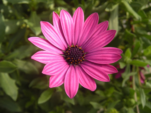 Stacey Marcum Photo 25