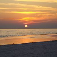 Denise Stevenson Photo 36