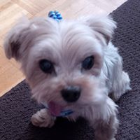 Suzanne Lefebvre Photo 8