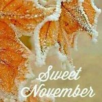 Lakisha Robinson Photo 21