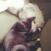 Erin Sutherland Photo 3