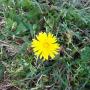 Mary Mudd Photo 12