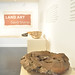 David Land Photo 20
