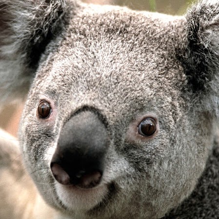 Mary Beverly Photo 25