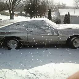 Shane Robertson Photo 37