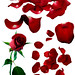 Brenda Rose Photo 10
