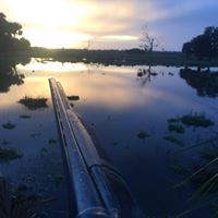 Andrew Perlman Photo 19