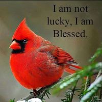 Caroline Inman Photo 11