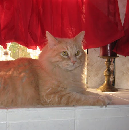 Shirley Summers Photo 22 Shirley Summers Photo 22