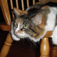 Susan Bones Photo 7