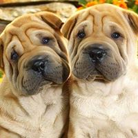 Eileen Browne Photo 26