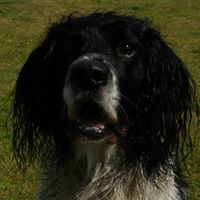 Pauline Lamb Photo 8